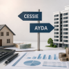 cessie ayda